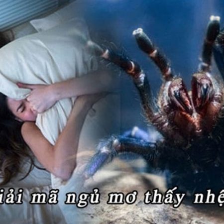 Nằm mơ thấy nhện đánh con gì?
