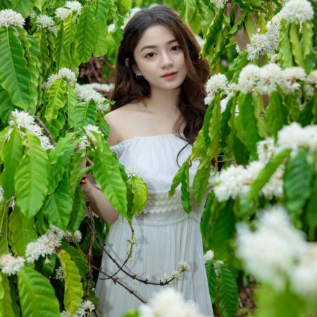 Vẻ đẹp trong veo của nàng mẫu Đăk Lăk Nguyễn Thị Xuân Trúc trong rừng cà phê mùa hoa nở